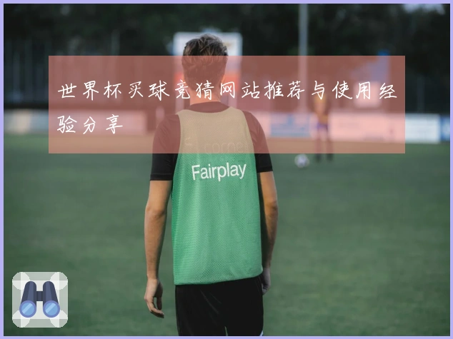 世界杯买球竞猜网站推荐与使用经验分享