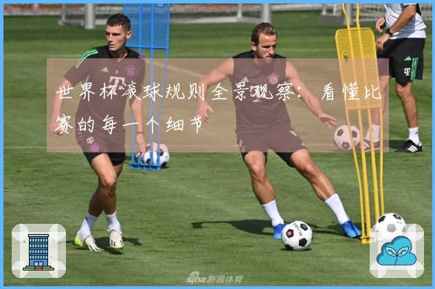 世界杯滚球规则全景观察：看懂比赛的每一个细节