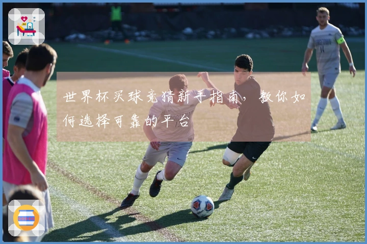 世界杯买球竞猜新手指南，教你如何选择可靠的平台