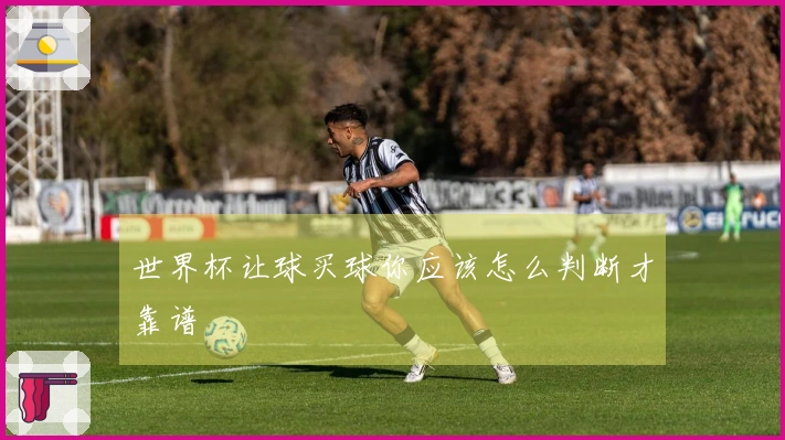 世界杯让球买球你应该怎么判断才靠谱