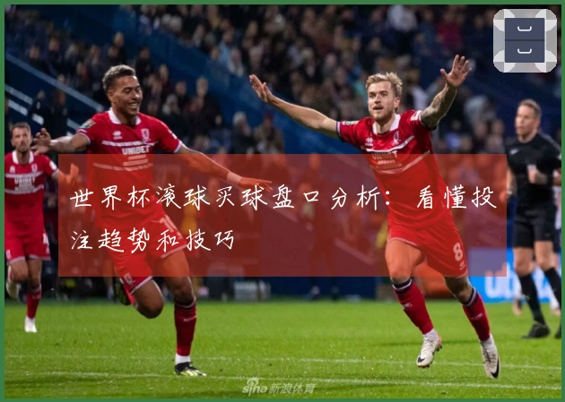 世界杯滚球买球盘口分析：看懂投注趋势和技巧
