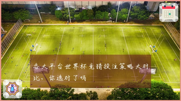 各大平台世界杯竞猜投注策略大对比，你选对了吗