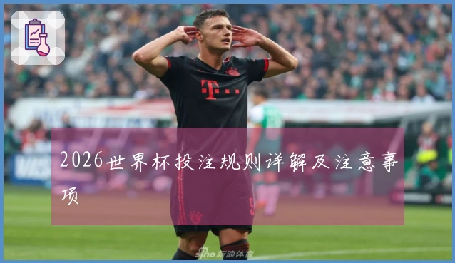 2026世界杯投注规则详解及注意事项