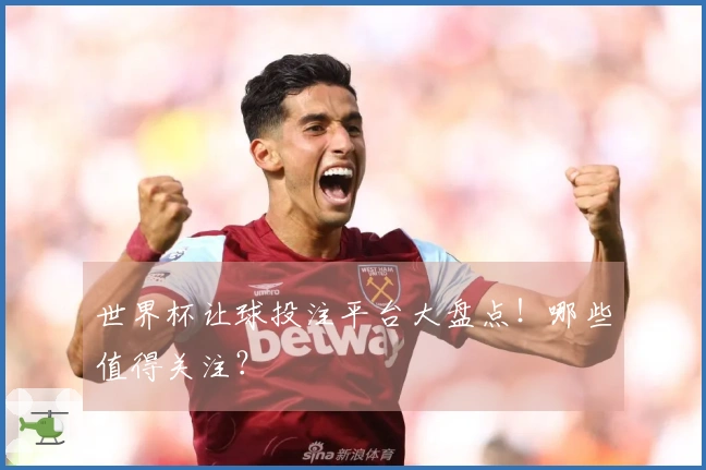 世界杯让球投注平台大盘点！哪些值得关注？